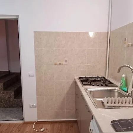 Apartamente Elegante In Regim Hotelier Iasi Exterior photo