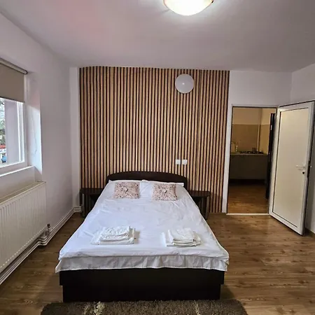 Apartamente Elegante In Regim Hotelier Iasi Exterior photo