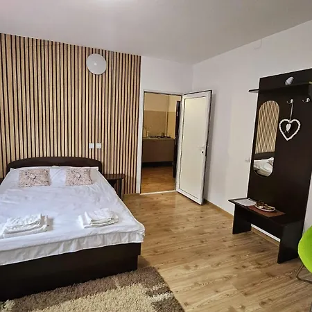 Apartamente Elegante In Regim Hotelier Iasi Exterior photo