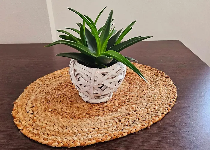 Apartamente Elegante In Regim Hotelier