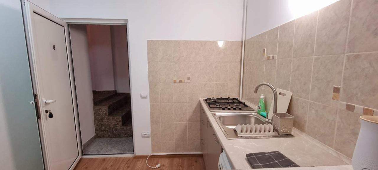 Apartment Elegante In Regim Hotelier Iasi